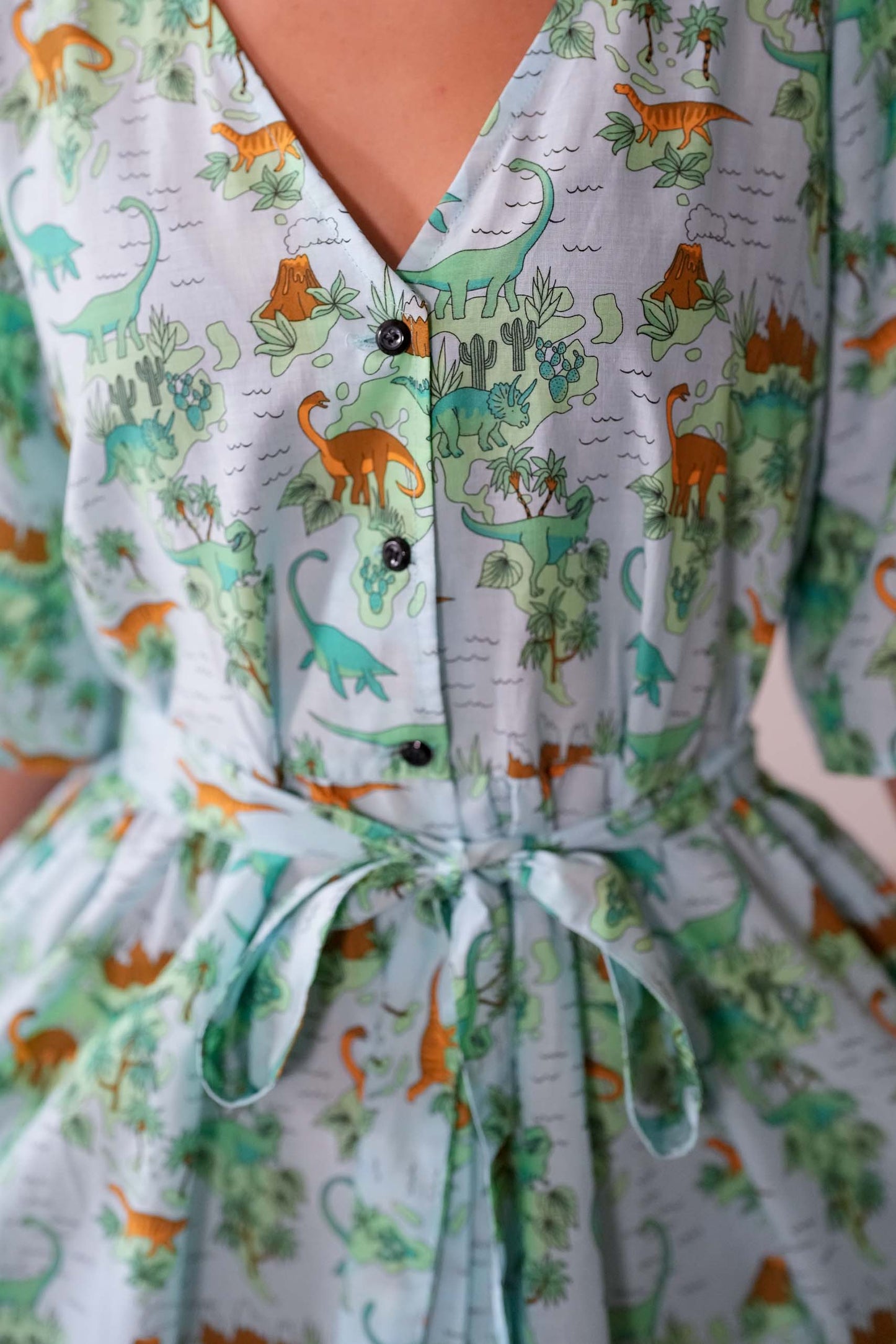 שמלת דולי הדינוזאור האחרון