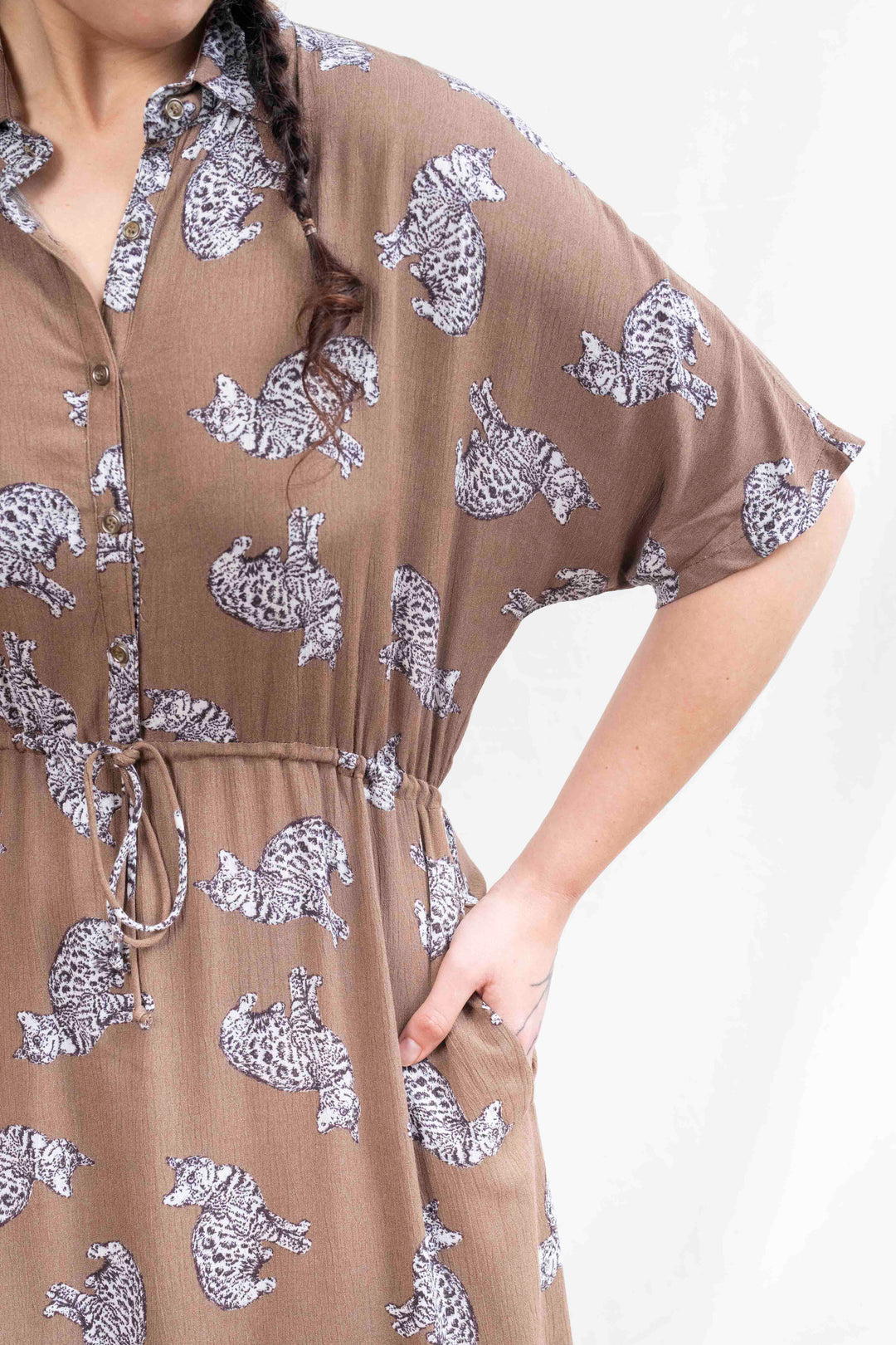 שמלת קיוטו חתולים בצמרת