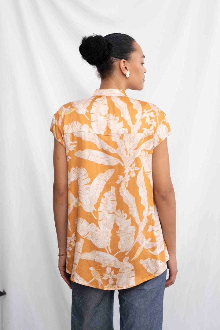 חולצת טוני יערות ברזיל Back In Stock