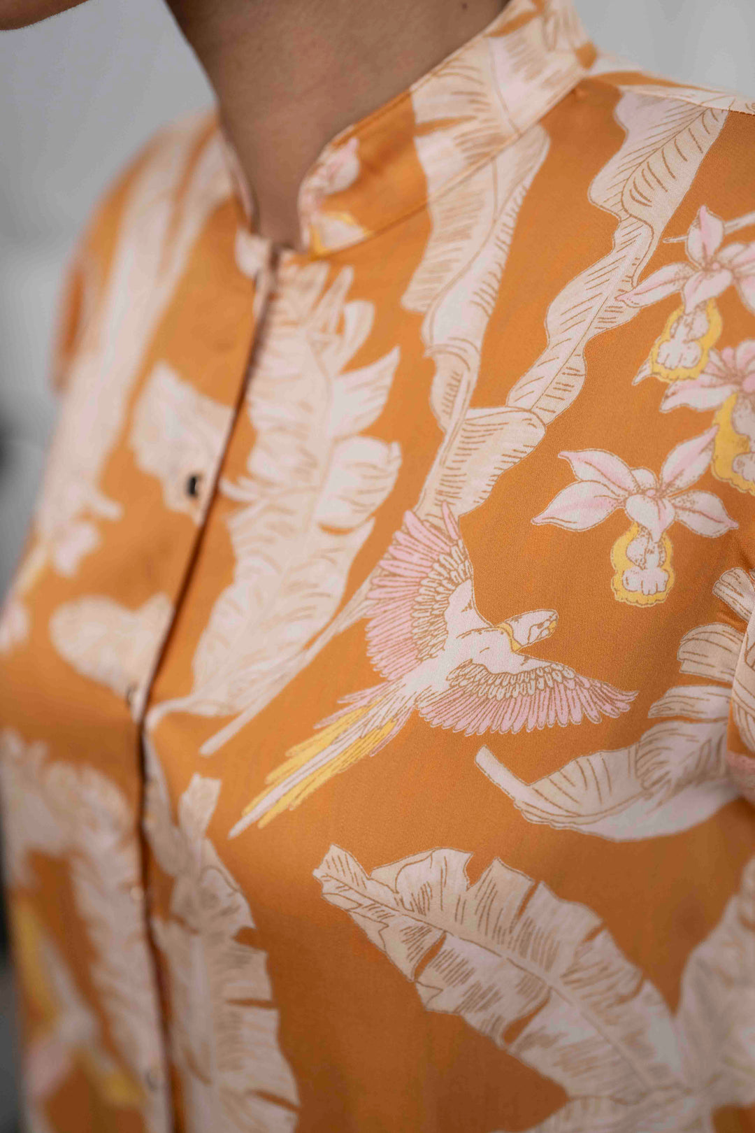 חולצת טוני יערות ברזיל Back In Stock