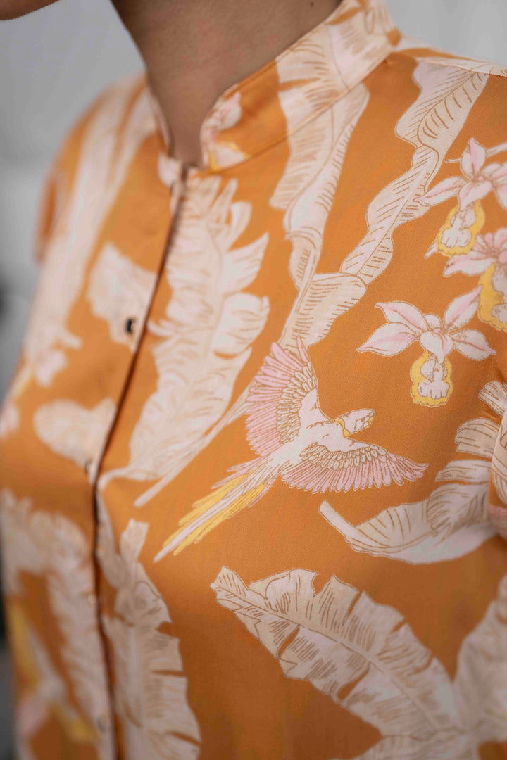 חולצת טוני יערות ברזיל Back In Stock