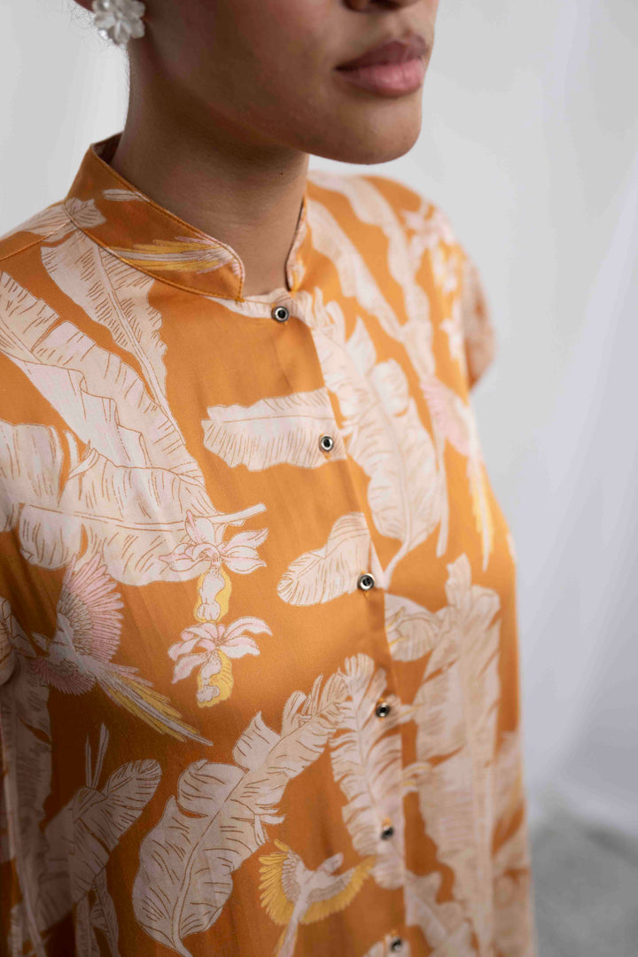 חולצת טוני יערות ברזיל Back In Stock