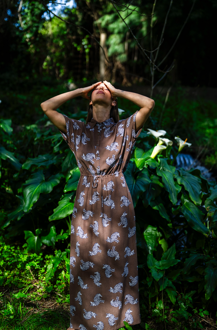 שמלת קיוטו חתולים בצמרת