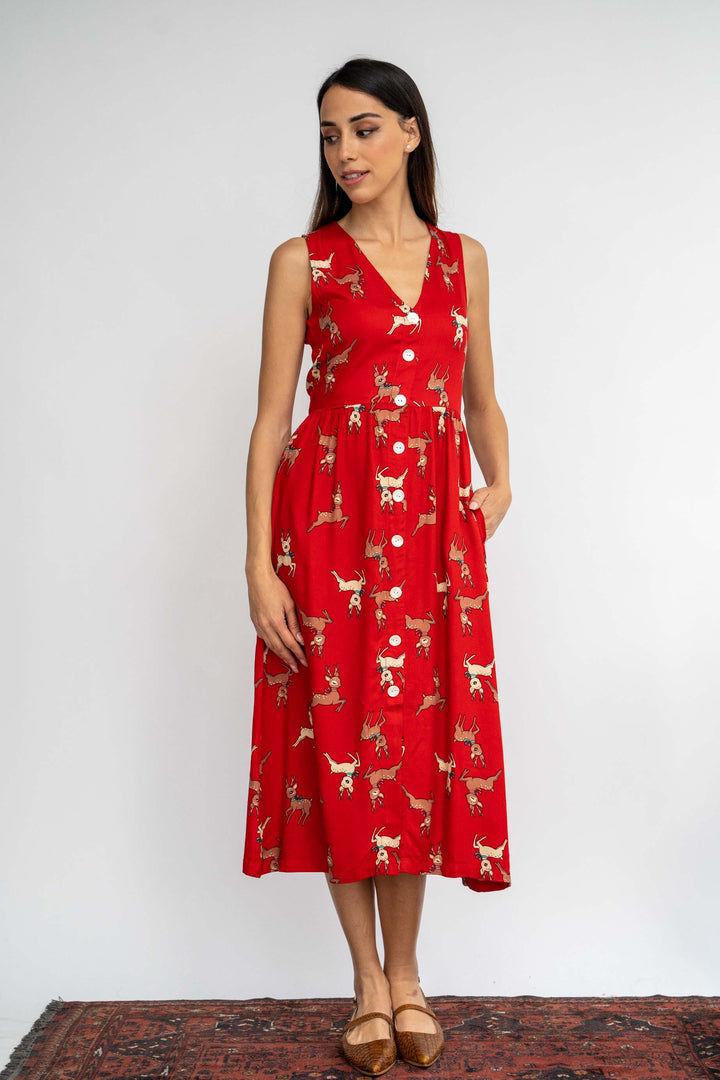 שמלת יולי אייל הצפון