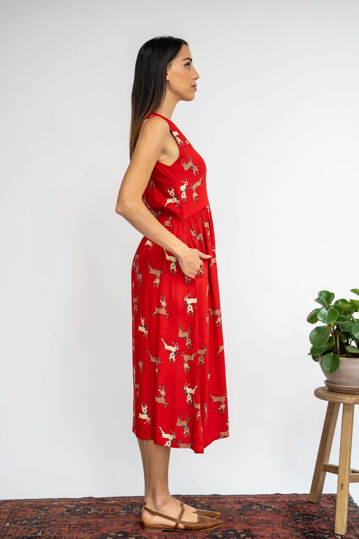 שמלת יולי אייל הצפון