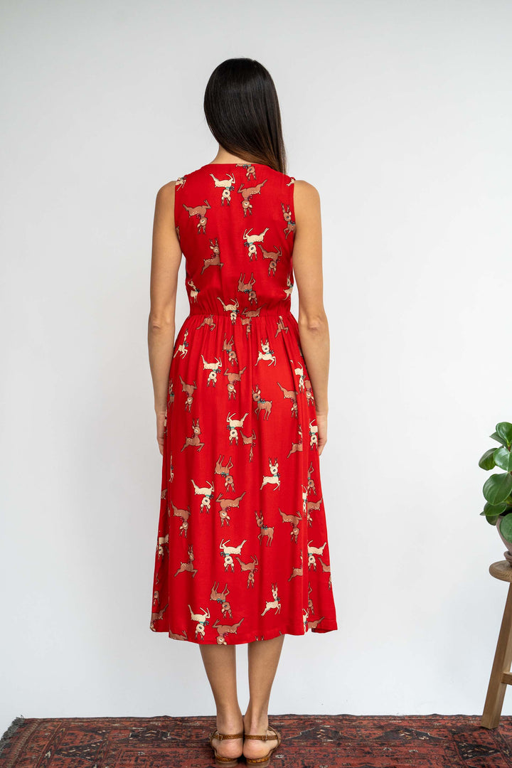 שמלת יולי אייל הצפון